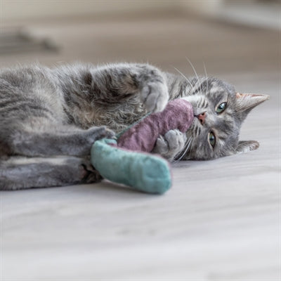 Load image into Gallery viewer, Trixie speelkussen rol met catnip assorti