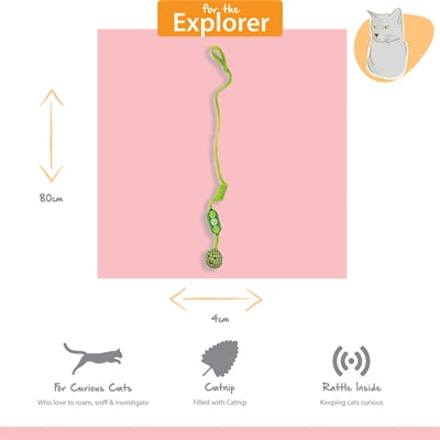 Load image into Gallery viewer, Happy pet tabby patch erwten bungee