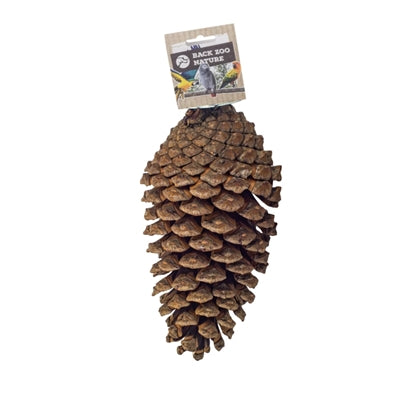Laden Sie das Bild in Galerie -Viewer, Back zoo nature foraging pine cone