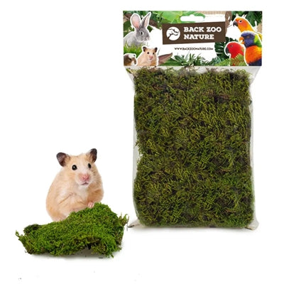 Cargue la imagen en el visor de la galería, Back zoo nature forest moss