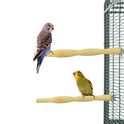 Laden Sie das Bild in Galerie -Viewer, Back zoo nature wood perch