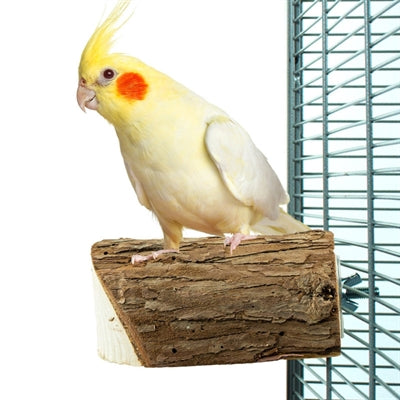 Chargez l'image dans la visionneuse de la galerie, Back zoo nature wood slice perch