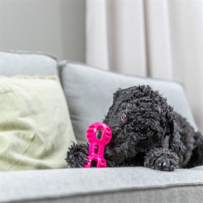 Load image into Gallery viewer, Trixie dumbell soft strong tpr roze