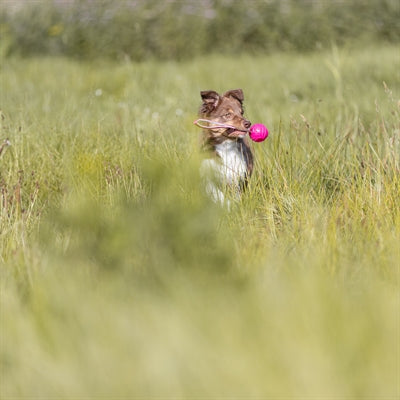 Afbeelding laden in galerijviewer, Trixie werpbal soft strong tpr roze