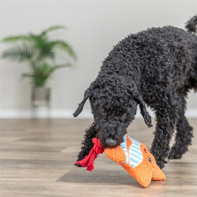 Load image into Gallery viewer, Trixie zeester met flostouw oranje