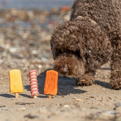 Load image into Gallery viewer, Trixie ice twister