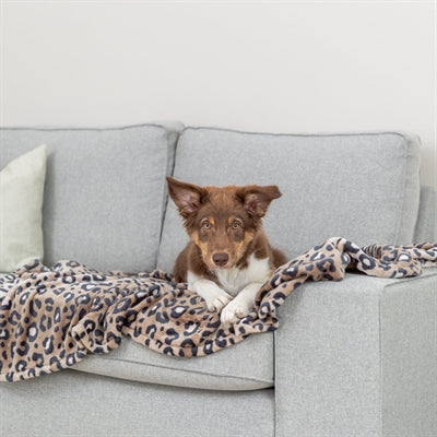 Load image into Gallery viewer, Trixie hondendeken leo softpluche panterprint bruin