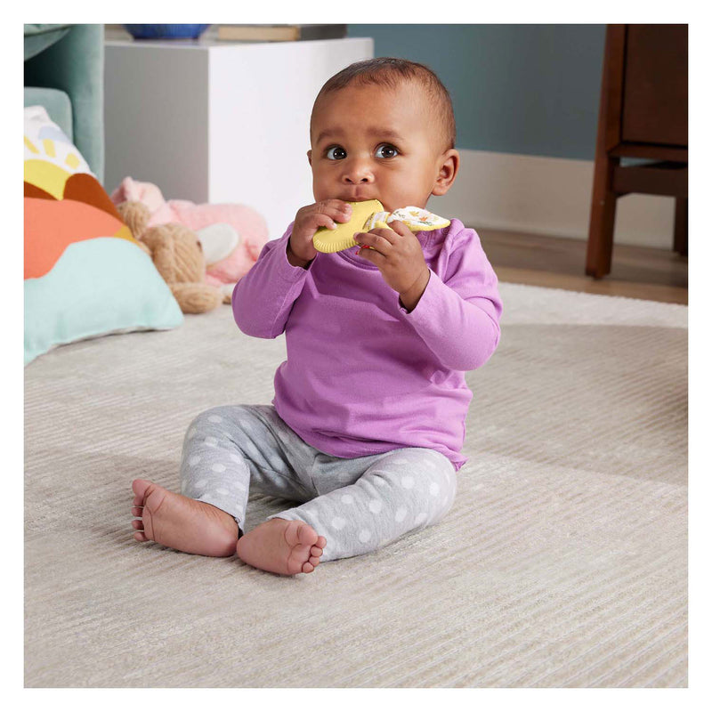 Load image into Gallery viewer, Fisher price bijt rammelaar konijn
