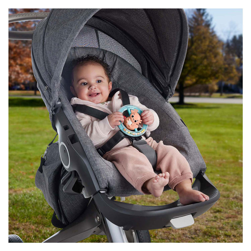 Load image into Gallery viewer, Fisher price bijt rammelaar axeloth