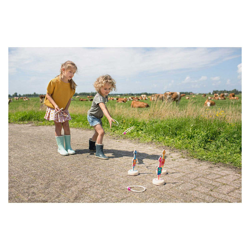 Load image into Gallery viewer, Bs toys ringwerpen vogels hout - werpspel