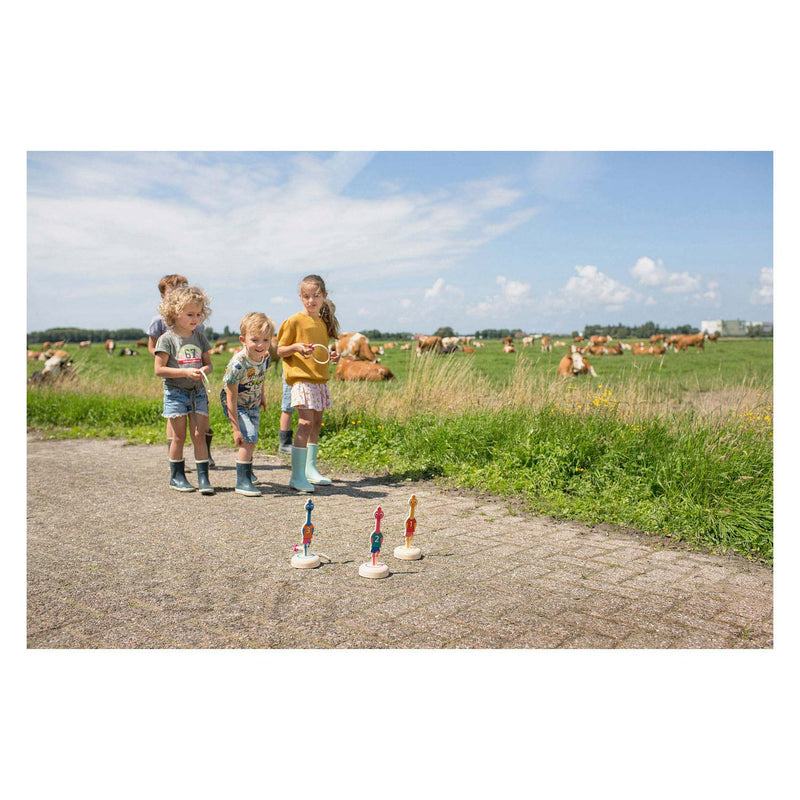 Load image into Gallery viewer, Bs toys ringwerpen vogels hout - werpspel