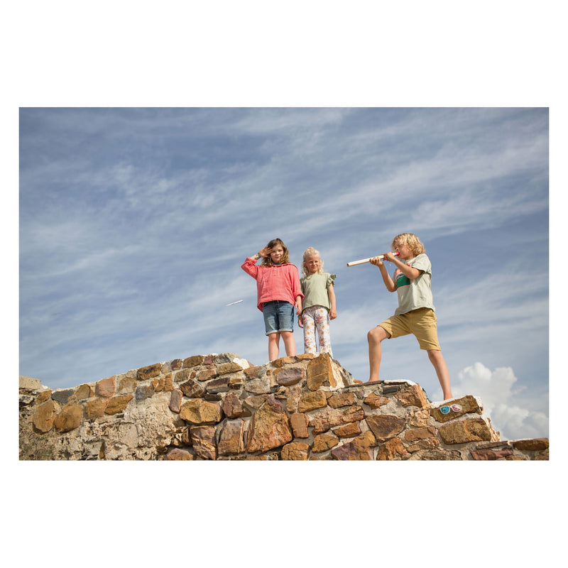 Load image into Gallery viewer, Bs toys blaaspijp hout - afschietspel