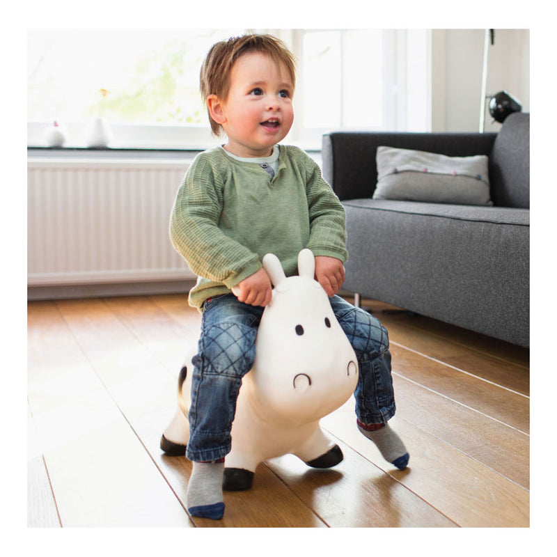 Load image into Gallery viewer, Bs toys skippydier koe