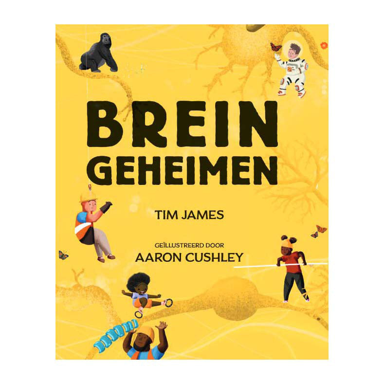 Chargez l'image dans la visionneuse de la galerie, Uitgeverij kluitman breingeheimen