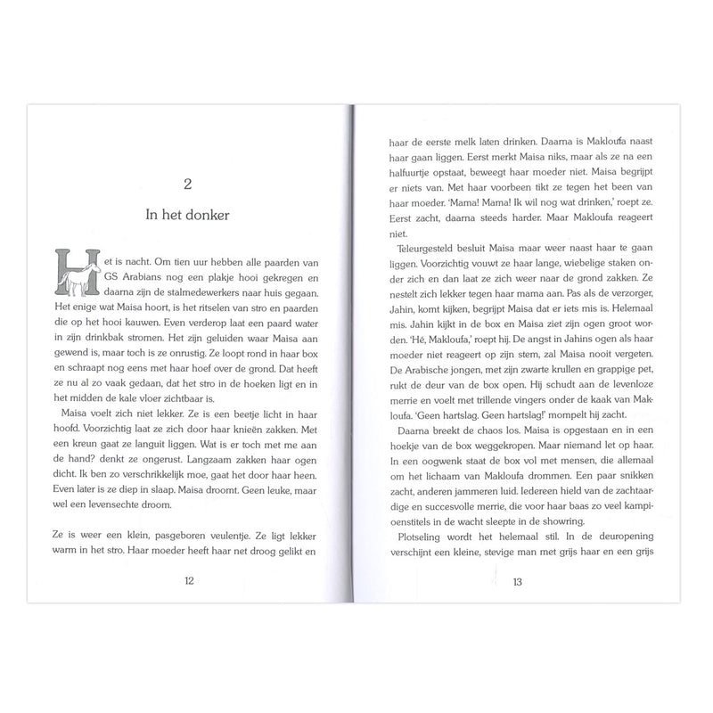 Load image into Gallery viewer, Uitgeverij kluitman gouden paarden: maisa de dappere arabier