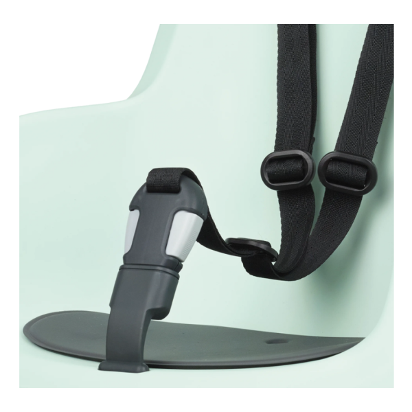 Load image into Gallery viewer, Bobike kinderzitje achter go maxi rs met framebevestiging (ff) en slaapstand - peppermint