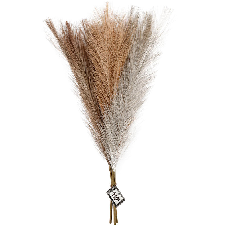 Afbeelding laden in galerijviewer, Http: www.cchobby.nl pampasgras-l-50-cm-licht-beige-lichtbruin-lichtgrijs-3-stuk-1-bol
