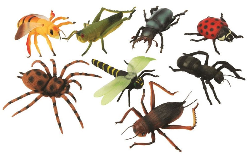 ギャラリービューアに画像をロードする, Grote insecten, 12 assortie. 15 cm. 3+