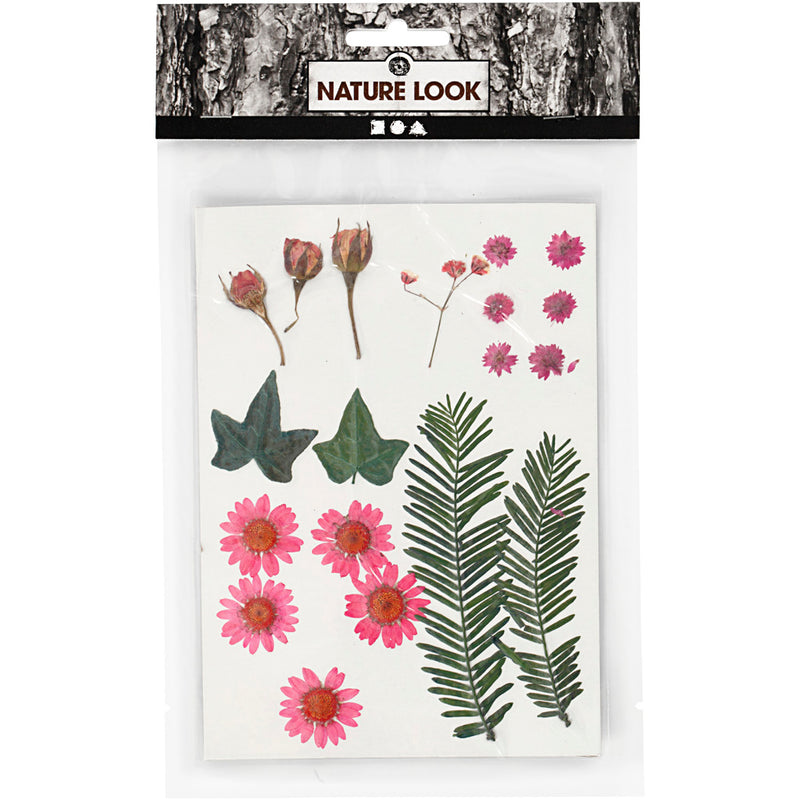 Load image into Gallery viewer, Creativ company gedroogde bloemen en bladeren lichtrood, 19dlg.