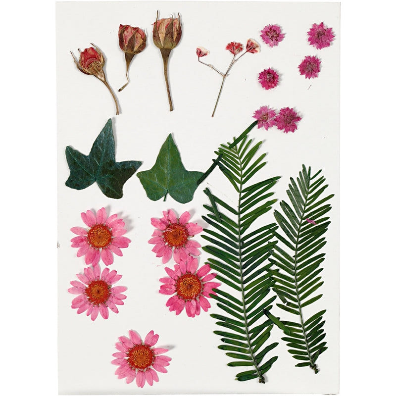 Load image into Gallery viewer, Creativ company gedroogde bloemen en bladeren lichtrood, 19dlg.