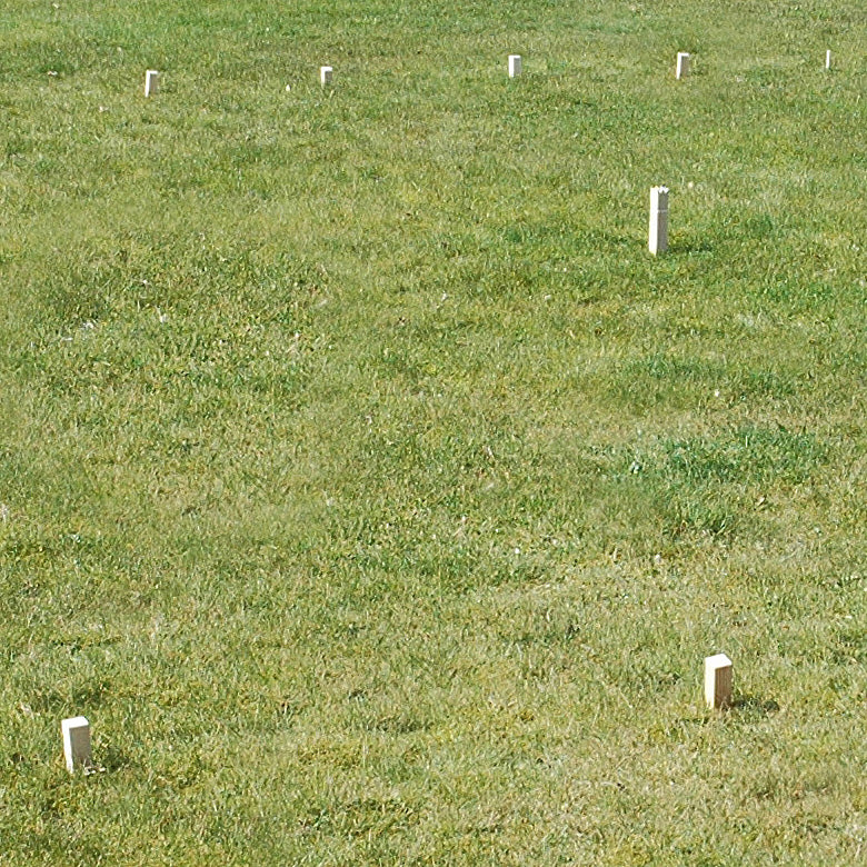 Load image into Gallery viewer, Goki schaakspel kubb vikingen medium