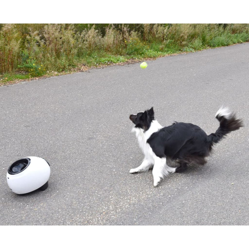 Load image into Gallery viewer, Flamingo balwerper met tennisballen elton interactief 33x24x29 cm