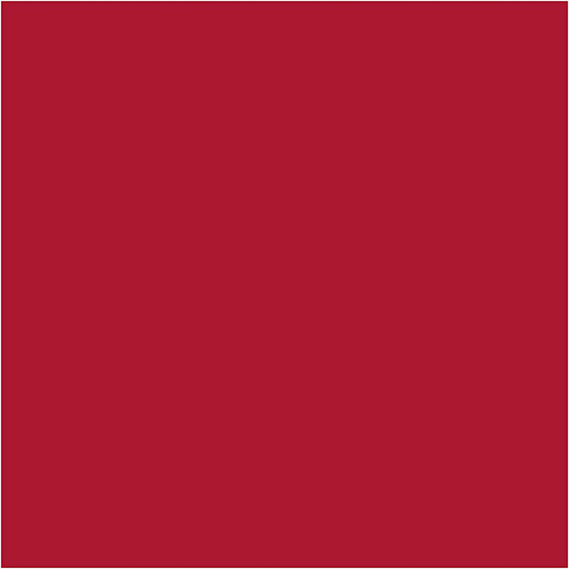 Load image into Gallery viewer, Creativ company https: www.cchobby.nl karton-vel-50x70-cm-270-gr-kerstrood-100-vel-1-doos