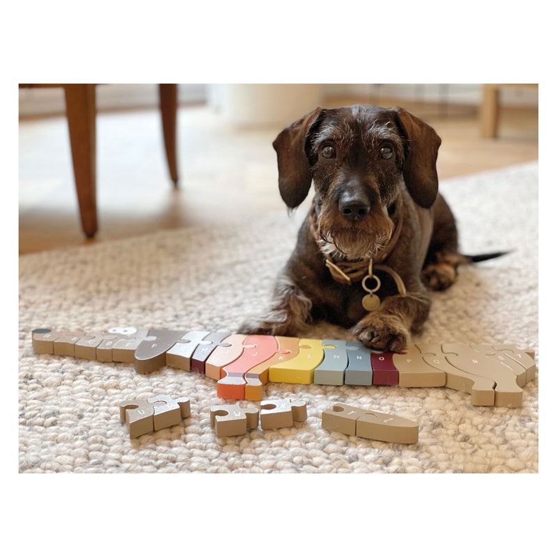 Load image into Gallery viewer, Small foot - houten letter- en vormenpuzzel hond, 26st.