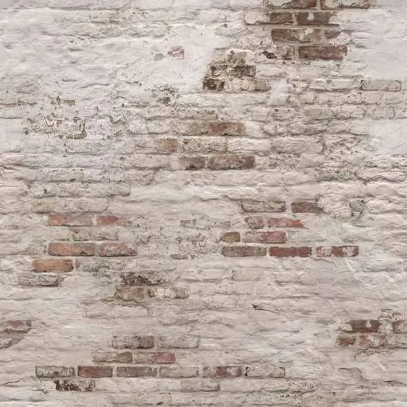 Load image into Gallery viewer, Dutch wallcoverings dutch wallcoverings fotobehang old brick wall beige bruin