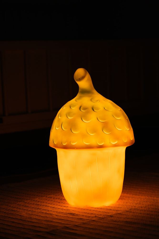 ギャラリービューアに画像をロードする, Egmont lamp eikel terra+dimmer. 20 x 30