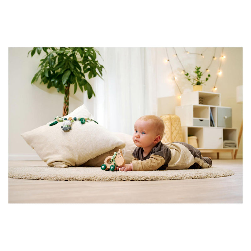Load image into Gallery viewer, Eichhorn baby hipp houten duwfiguur ezel