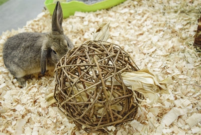 Load image into Gallery viewer, Nature first happy pet speelbal wilg