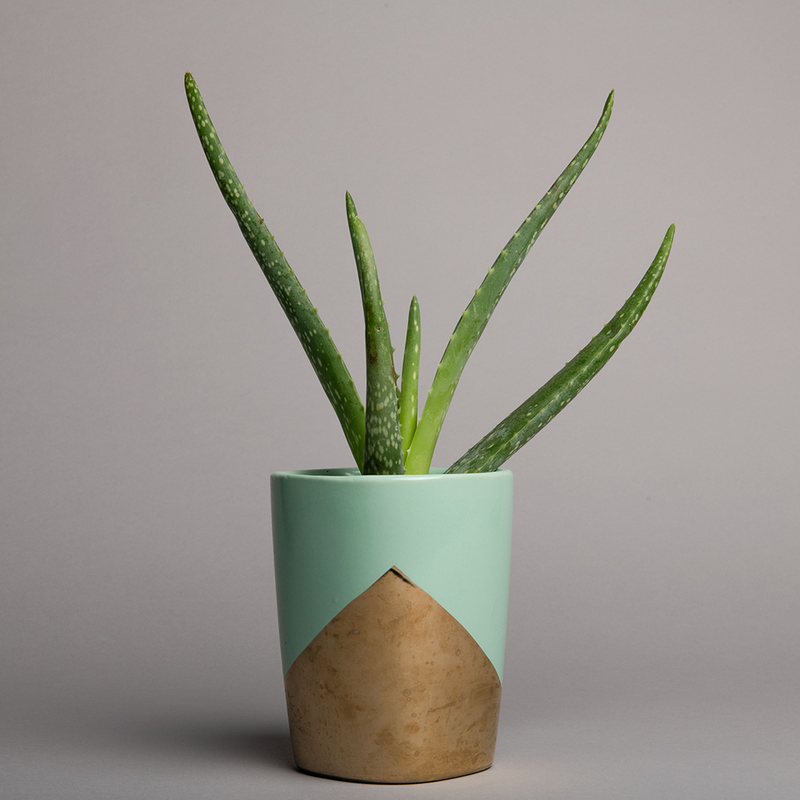 Load image into Gallery viewer, Superior achtergrondpapier 58 slate grey 1,35 x 11m