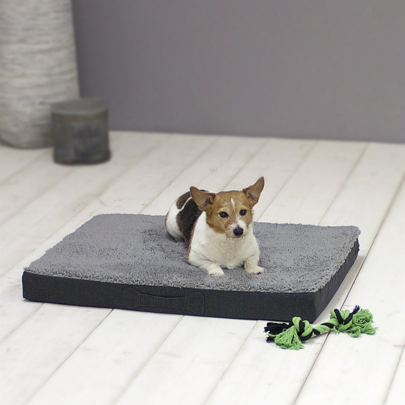 Load image into Gallery viewer, Sun garden buddy orthopedisch hondenkussen 72x50x8cm grijs antraciet
