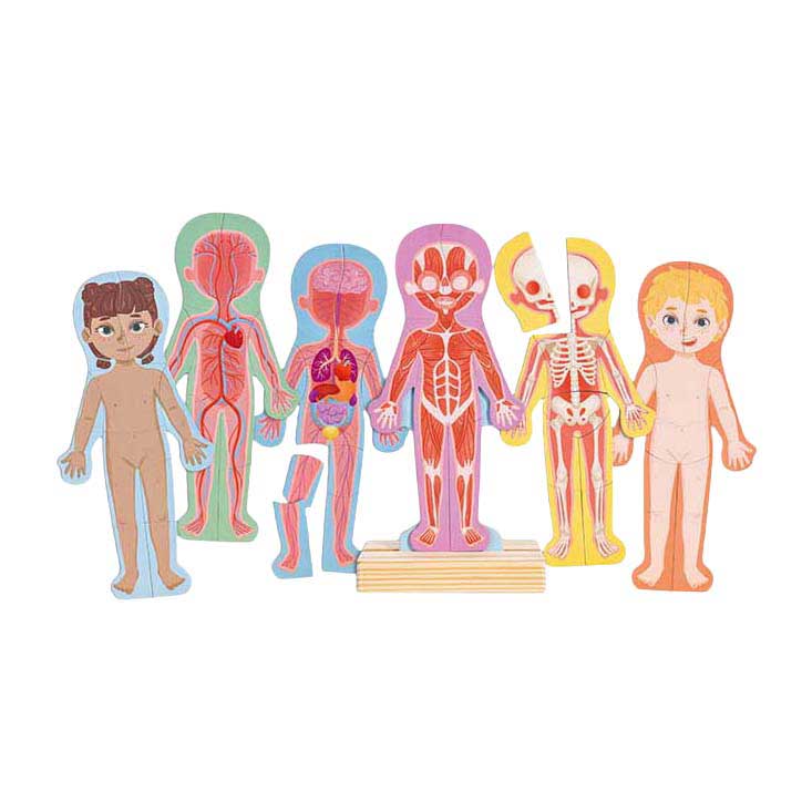 Load image into Gallery viewer, Hape menselijk lichaam magnetische puzzel - 63dlg.