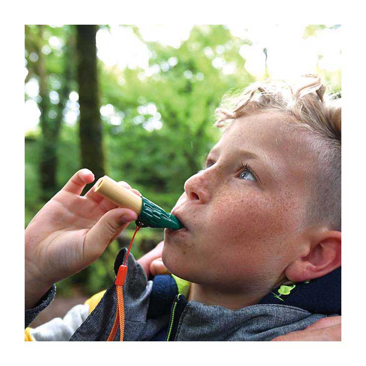 Load image into Gallery viewer, Hape bamboe natuur speurdersset