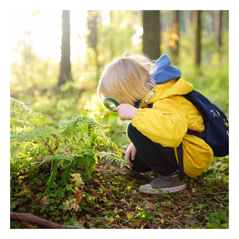 Load image into Gallery viewer, Hape bamboe natuur speurdersset
