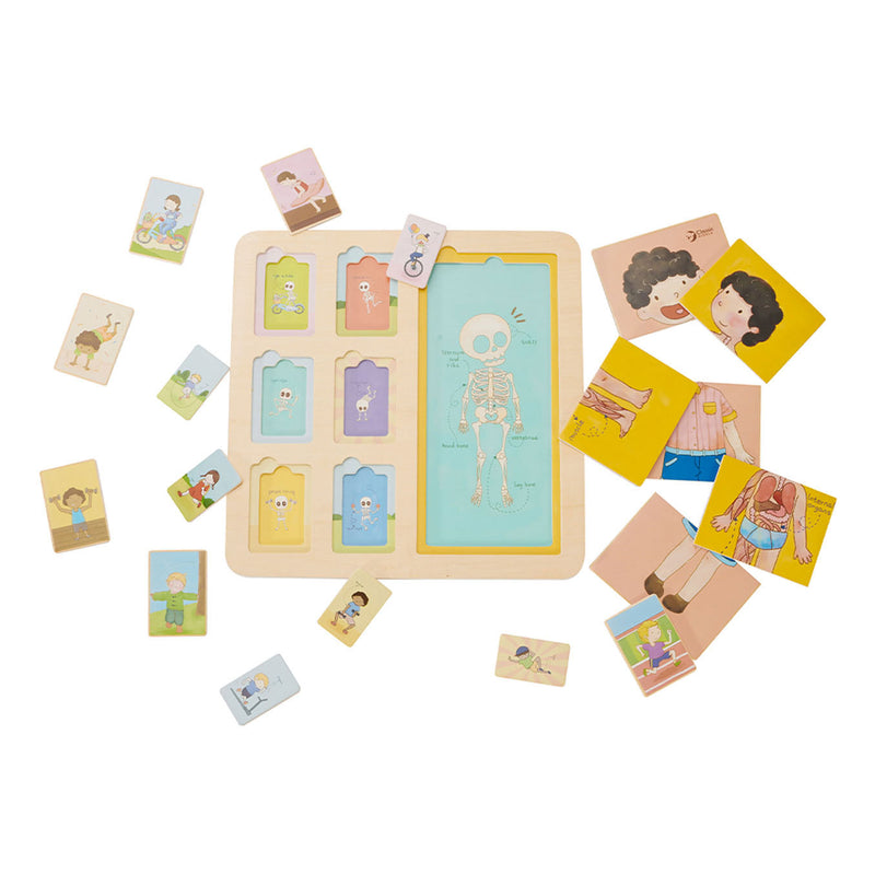 Load image into Gallery viewer, Classic World Houten Lagenpuzzel Lichaam, 19dlg.