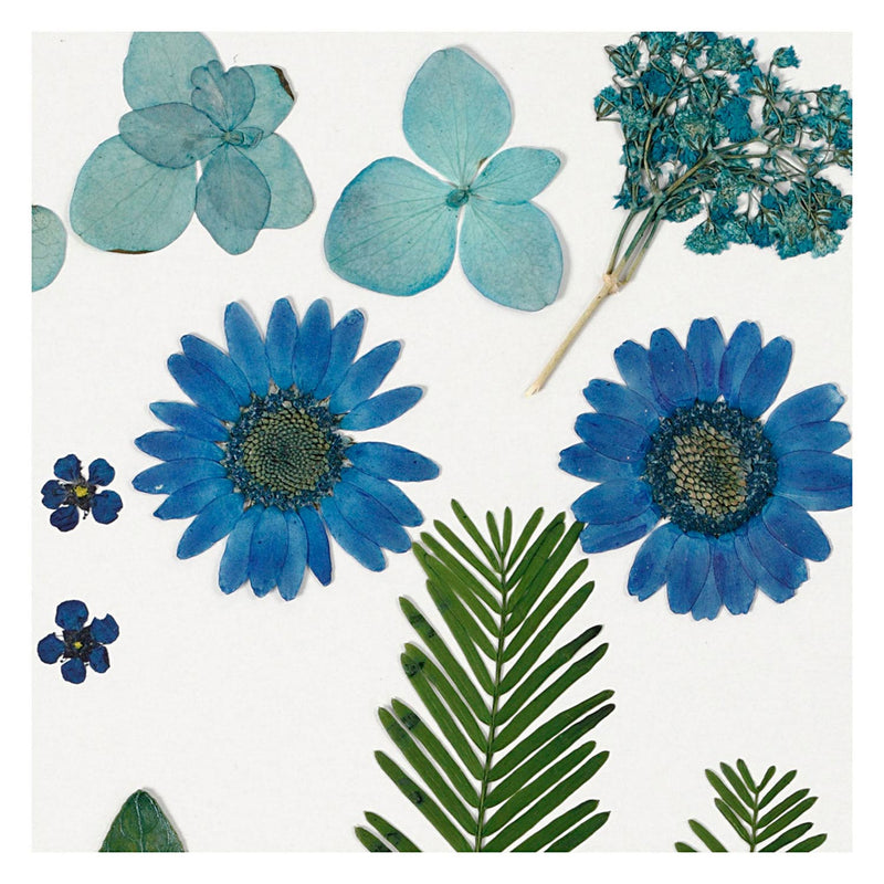 Laden Sie das Bild in Galerie -Viewer, Creativ company gedroogde bloemen en bladeren blauw, 19dlg.