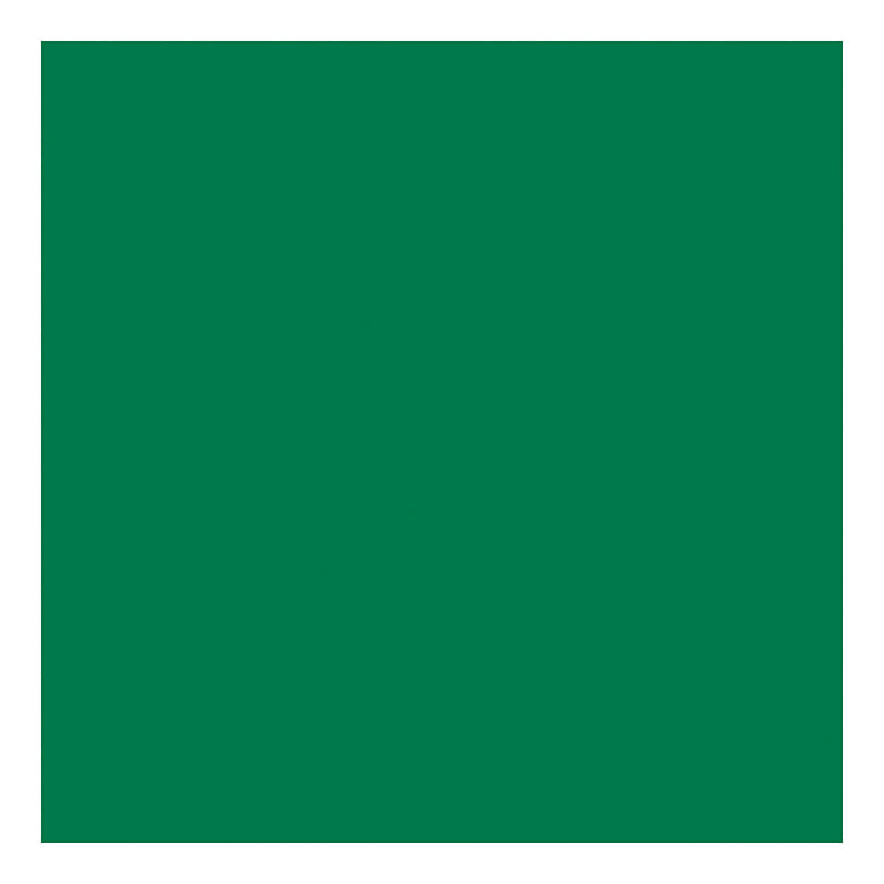 Load image into Gallery viewer, Creativ company tissuepapier groen 10 vellen 14 gr, 50x70cm