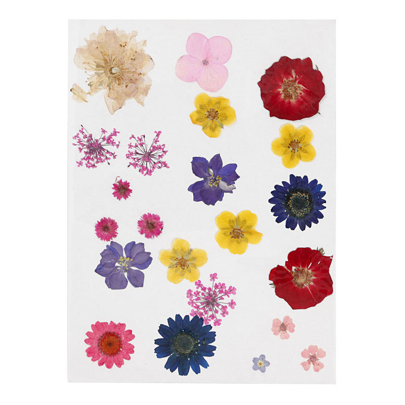 Load image into Gallery viewer, Creativ company gedroogde bloemen en bladeren diverse kleuren