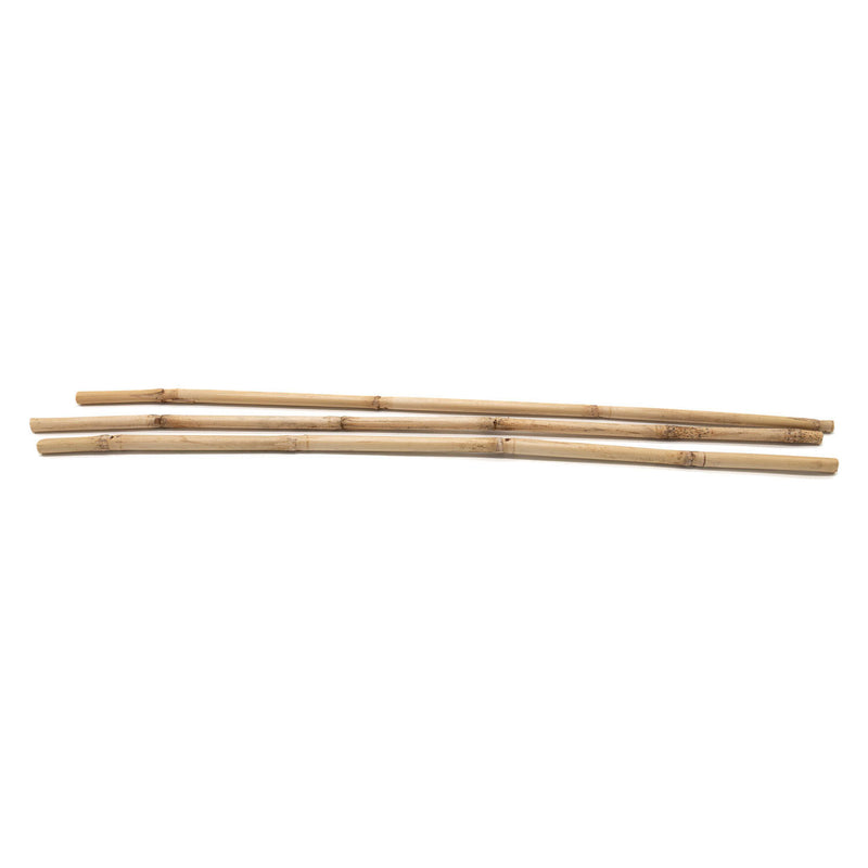 Load image into Gallery viewer, Colorations - bamboestokken 50cm, 3st.