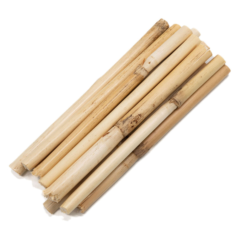 Load image into Gallery viewer, Colorations - korte bamboestokkken 10-12cm, 10st.