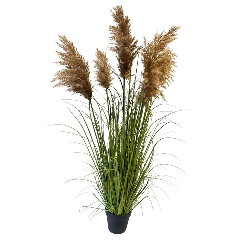 Laden Sie das Bild in Galerie -Viewer, Deco plant met pampasgras 120cm in pot