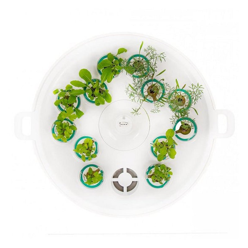Afbeelding laden in galerijviewer, Plantui booster tray wit