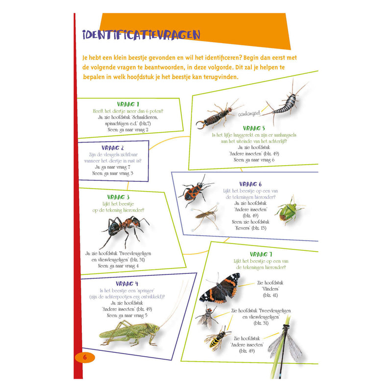 Load image into Gallery viewer, Deltas de leukste insectengids voor kids