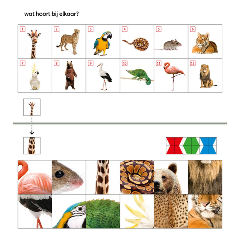 Load image into Gallery viewer, Wpg uitgevers mini loco starterspakket (4-6 jaar)