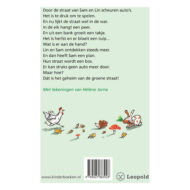 Load image into Gallery viewer, Wpg uitgevers het geheim van de groene straat (avi-e3)