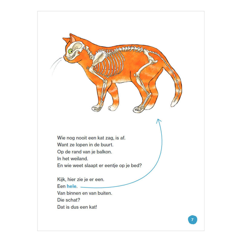Afbeelding laden in galerijviewer, Wpg uitgevers dat is een kat - avi e3