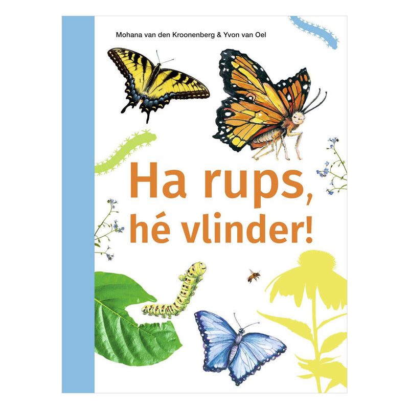 Afbeelding laden in galerijviewer, Wpg uitgevers ha rups, hé vlinder! - avi m4